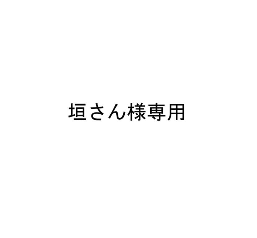 垣さん Japanese Z-Saw 333 mm 