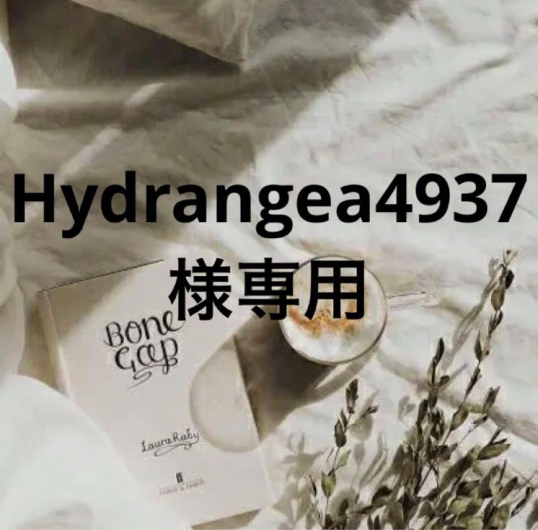 Hydrangea4937　0203 Tokyo Delight Bigleaf Hydrangea – Plant Detectives